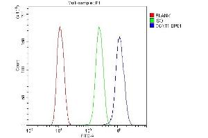 Flow Cytometry analysis of U20S cells using anti-Cyclin T1 antibody (ABIN4886509).