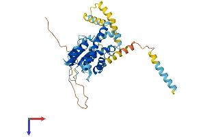 AlphaFold protein structure predicition of Mouse Recombinant Gdap1l1 Protein, UniprotID Q8VE33