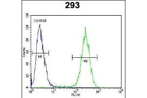 ENSA Antibody (Center) (ABIN654413 and ABIN2844151) flow cytometric analysis of 293 cells (right histogram) compared to a negative control cell (left histogram). (Ensa anticorps  (AA 39-66))