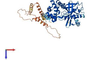 AlphaFold protein structure predicition of Mouse Recombinant Mief1 Protein, UniprotID Q8BGV8