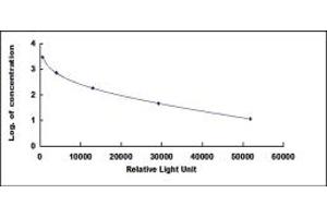 ELISA image for Calcitonin-Related Polypeptide alpha (CALCA) CLIA Kit (ABIN4947425)