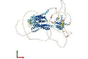 AlphaFold protein structure predicition of Mouse Recombinant Slc26a8 Protein, UniprotID Q8R0C3