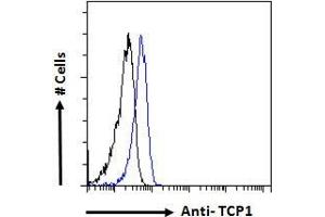 ABIN185185 Flow cytometric analysis of paraformaldehyde fixed HeLa cells (blue line), permeabilized with 0. (TCP1 alpha/CCTA anticorps  (C-Term))