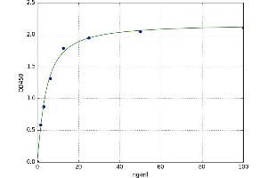 Glucosidase, Alpha, Acid (GAA) ELISA Kit