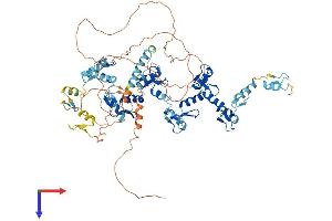AlphaFold protein structure predicition of Human Recombinant ZNF778 Protein, UniprotID Q96MU6
