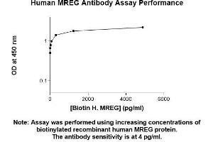 Image no. 1 for anti-Melanoregulin (MREG) (AA 1-214) antibody (ABIN5566795) (MREG anticorps  (AA 1-214))