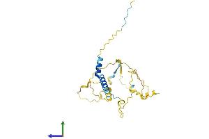 AlphaFold protein structure predicition of Human Recombinant TP53INP2 Protein, UniprotID Q8IXH6