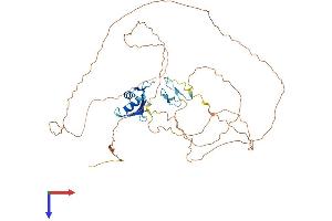 AlphaFold protein structure predicition of Mouse Recombinant Fus Protein, UniprotID P56959