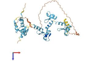 AlphaFold protein structure predicition of Human Recombinant ZNF707 Protein, UniprotID Q96C28