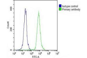 Overlay histogram showing THP-1 cells stained with (ABIN391674 and ABIN2841585) (green line).