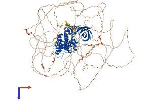 AlphaFold protein structure predicition of Human Recombinant HIPK3 Protein, UniprotID Q9H422