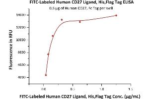 Immobilized Human CD27, Fc Tag (ABIN2180735,ABIN2180734) at 5 μg/mL (100 μL/well) can bind Fed Human CD27 Ligand, His,Flag Tag (ABIN6972978) with a linear range of 0.