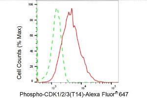 Flow cytometric analysis of Phospho-CDK1/2/3 (T14) expression in HepG2 cells using Phospho-CDK1/2/3 (T14) antibody (ABIN7797995), 1:2,000). (Recombinant CDK1/2/3 (pThr14) anticorps)