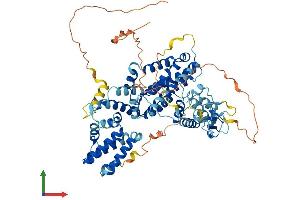 AlphaFold protein structure predicition of Mouse Recombinant Rasgrp4 Protein, UniprotID Q8BTM9
