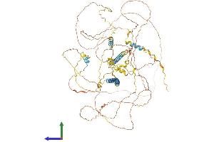 AlphaFold protein structure predicition of Human Recombinant DACT1 Protein, UniprotID Q9NYF0