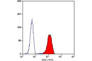 Staining of human peripheral blood granulocytes with MOUSE ANTI HUMAN CD62L:FITC (ABIN118761). (L-Selectin anticorps  (FITC))
