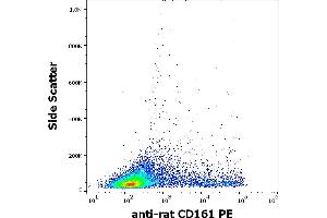 Flow cytometry surface staining pattern of rat splenocyte suspension stained using anti-rat CD161 (10/78) PE antibody (concentration in sample 1 μg/mL). (CD161 anticorps  (PE))