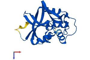 AlphaFold protein structure predicition of Human Recombinant GGCT Protein, UniprotID O75223