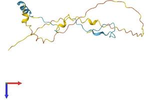 AlphaFold protein structure predicition of Human Recombinant SNRNP27 Protein, UniprotID Q8WVK2
