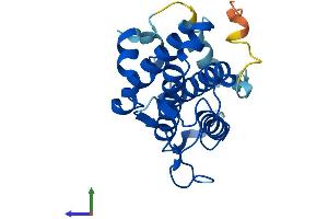 AlphaFold protein structure predicition of Human Recombinant MOB3C Protein, UniprotID Q70IA8