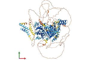 AlphaFold protein structure predicition of Mouse Recombinant Ercc6l Protein, UniprotID Q8BHK9