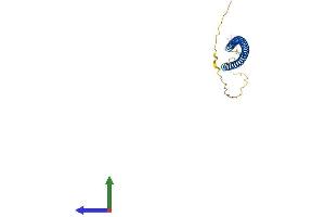 AlphaFold protein structure predicition of Human Recombinant MCEMP1 Protein, UniprotID Q8IX19