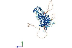 AlphaFold protein structure predicition of Mouse Recombinant Tfcp2 Protein, UniprotID Q9ERA0