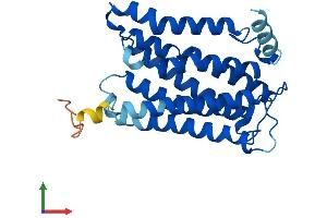 AlphaFold protein structure predicition of Human Recombinant ELOVL1 Protein, UniprotID Q9BW60