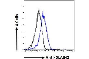 ABIN570761 Flow cytometric analysis of paraformaldehyde fixed NIH3T3 cells (blue line), permeabilized with 0. (SLAIN2 anticorps  (Internal Region))