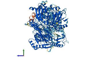 AlphaFold protein structure predicition of Human Recombinant OPLAH Protein, UniprotID O14841