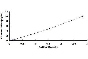 Typical standard curve (ARIP4 Kit ELISA)
