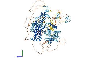 AlphaFold protein structure predicition of Human Recombinant ZMYM6 Protein, UniprotID O95789