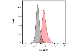 Detection of human CD1a on the surface of MOLT-4 cells (compared with blank) using anti-human CD1a (HI149) FITC. (CD1a anticorps  (FITC))