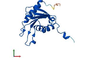 AlphaFold protein structure predicition of Human Recombinant CDA Protein, UniprotID P32320