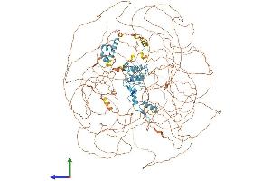 AlphaFold protein structure predicition of Human Recombinant GLI3 Protein, UniprotID P10071