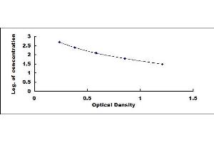 Typical standard curve (FGF13 Kit ELISA)