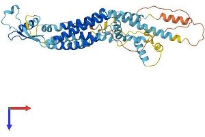 AlphaFold protein structure predicition of Mouse Recombinant Panx1 Protein, UniprotID Q9JIP4
