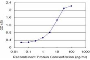 Detection limit for recombinant GST tagged VASN is approximately 0. (Vasn anticorps  (AA 298-349))