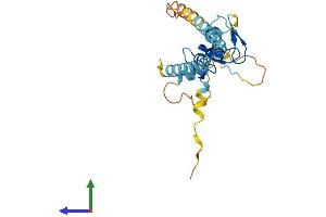 AlphaFold protein structure predicition of Human Recombinant RNF182 Protein, UniprotID Q8N6D2