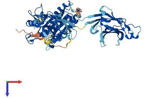 AlphaFold protein structure predicition of Mouse Recombinant Cpne4 Protein, UniprotID Q8BLR2