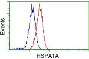 Image no. 5 for anti-Heat Shock 70kDa Protein 1A (HSPA1A) antibody (ABIN1498743)