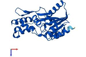 AlphaFold protein structure predicition of Mouse Recombinant Phospho2 Protein, UniprotID Q9D9M5