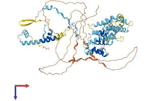 AlphaFold protein structure predicition of Human Recombinant TAF6 Protein, UniprotID P49848