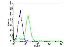 Flow cytometric analysis of Hela cells using BCL10 Antibody (green, Cat(ABIN1944800 and ABIN2838503)) compared to an isotype control of mouse IgG1(blue).