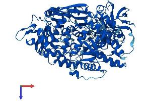 AlphaFold protein structure predicition of Human Recombinant ACO1 Protein, UniprotID P21399