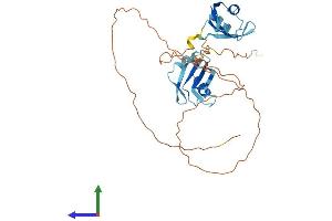 AlphaFold protein structure predicition of Human Recombinant MSI2 Protein, UniprotID Q96DH6
