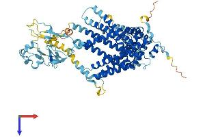 AlphaFold protein structure predicition of Mouse Recombinant Slc44a4 Protein, UniprotID Q91VA1