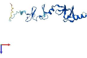 AlphaFold protein structure predicition of Mouse Recombinant Lmo2 Protein, UniprotID P25801