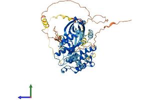 AlphaFold protein structure predicition of Mouse Recombinant Stk39 Protein, UniprotID Q9Z1W9