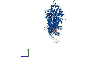 AlphaFold protein structure predicition of Mouse Recombinant Oasl1 Protein, UniprotID Q8VI94